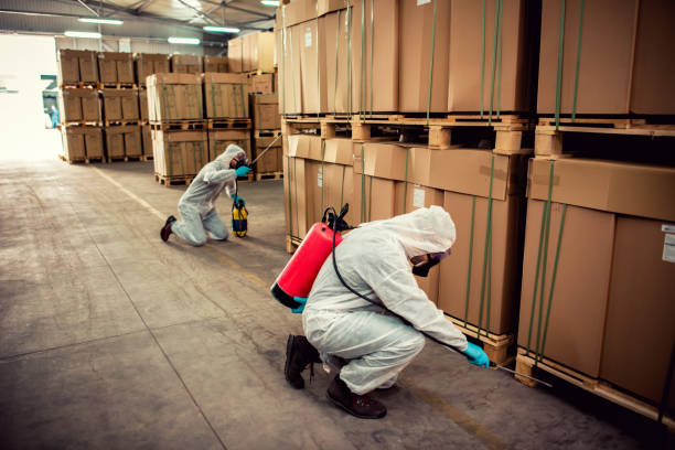 Best Best Pest Control Companies  in Huachuca City, AZ
