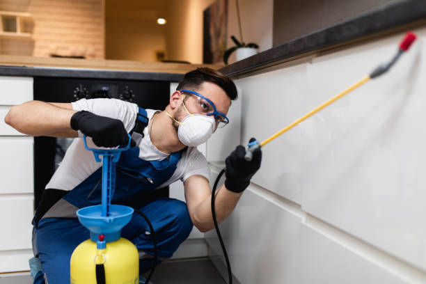 Best Wasp Removal Services  in Huachuca City, AZ